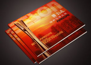 東莞產(chǎn)品目錄印盧總 專業(yè)廣告設(shè)計(jì)，打造卓越商業(yè)形象